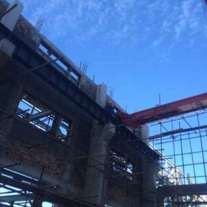 x˾ؙCbF(chng) installation site image of Longhui crane powe ...